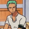 zoro roronoa 26