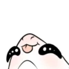 Nugget Expressions 14