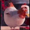 Nafise the chicken 22