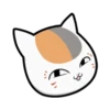 تن