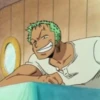 zoro roronoa 28
