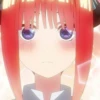 Nino 24