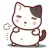 Cute Cat Daily life 29