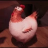 Nafise the chicken 24