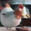 Nafise the chicken 25