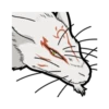 HE