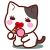 Cute Cat Daily life 30
