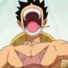 !¡ Luffy 27