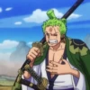 zoro roronoa 30