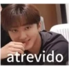 Straykids memes 7