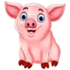 ANIMALES VARIOS 6
