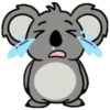 FeFe the Koala 6