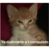 Ya duérmete o t conquisto