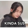 Straykids memes 11