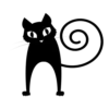 ️ 6