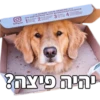 מארוול חלק 1 10