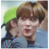 NCT 14