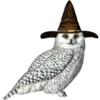 Spooky Owl 2 Clásica 16
