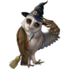 Spooky Owl 1 Clásica 12