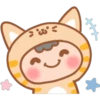 Savage Yellow Cat 17