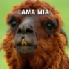 Lam O' Rama 6
