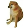 randomstickers2 19