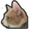 Animals 6