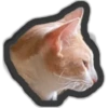 Animals 7