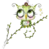 Spooky Owl 1 Clásica 15