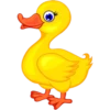ANIMALES VARIOS 19