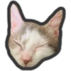 Animals 8