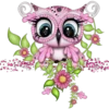 Spooky Owl 1 Clásica 17