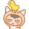 Savage Yellow Cat 21