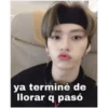 Straykids memes 22