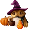 Spooky Owl 1 Clásica 20