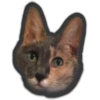 Animals 10