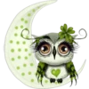 Spooky Owl 1 Clásica 21