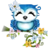Spooky Owl 1 Clásica 22