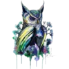 Spooky Owl 1 Clásica 23