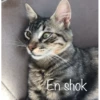 Xdd 5