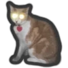 Animals 12