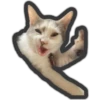 Animals 14