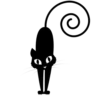 ️ 14