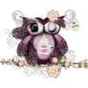 Spooky Owl 1 Clásica 26