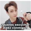 Straykids memes 30