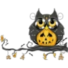 Spooky Owl 2 Clásica 30