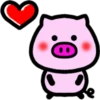 Daily pig 5