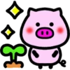 Daily pig 6