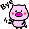 Daily pig 7
