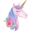 Unicorn 2  Clásica 7